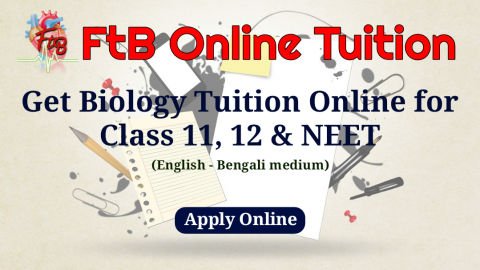 Biology Online Tuition